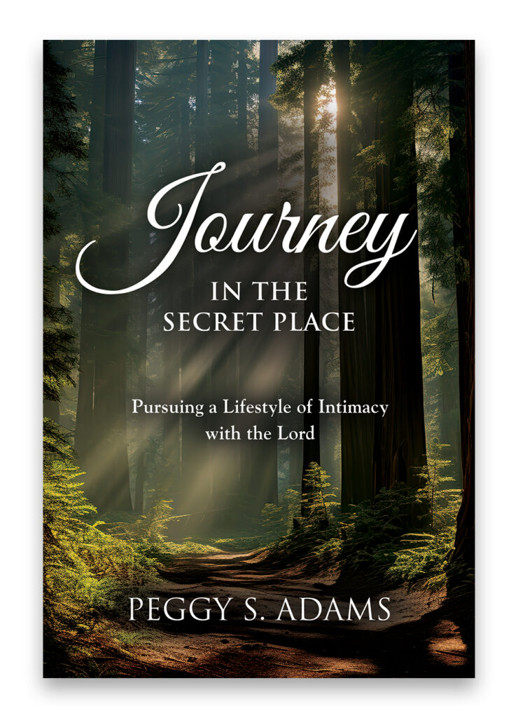 journey in the secret place book cover peggy adams